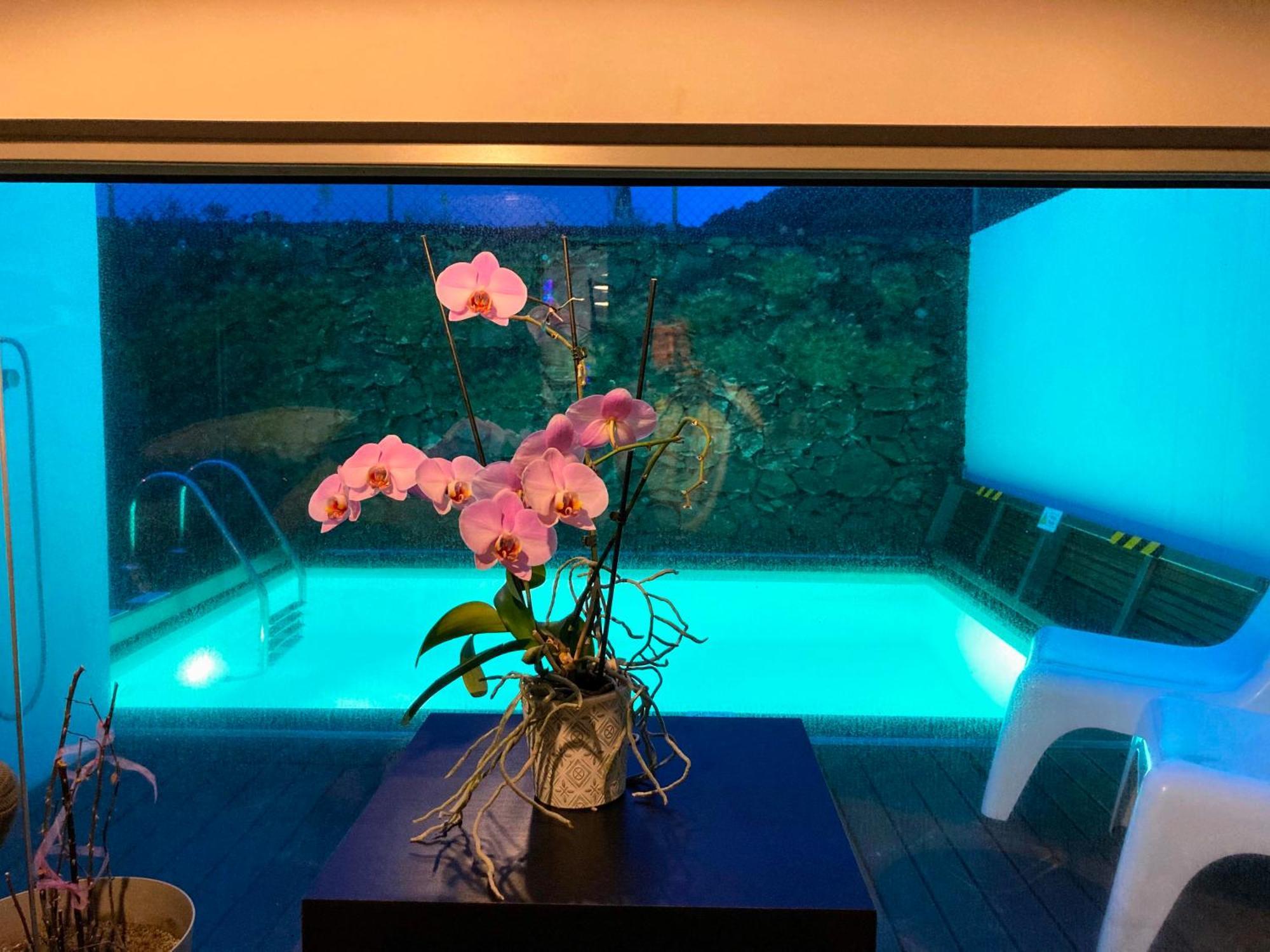 Villa Oliveira House *